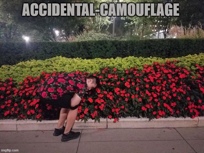 accidental-camouflage | ACCIDENTAL-CAMOUFLAGE | image tagged in camouflage,cool | made w/ Imgflip meme maker