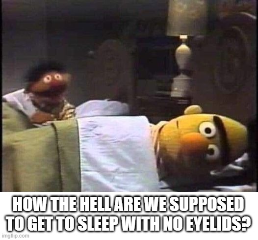 Bert and Ernie | HOW THE HELL ARE WE SUPPOSED TO GET TO SLEEP WITH NO EYELIDS? | image tagged in eyelids,sleep | made w/ Imgflip meme maker