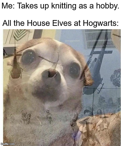 PTSD Chihuahua | Me: Takes up knitting as a hobby. All the House Elves at Hogwarts: | image tagged in ptsd chihuahua,harry potter,jk rowling,knitting,hobbies,hogwarts | made w/ Imgflip meme maker