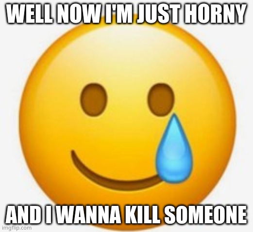 *punches my instinct to flirt* | WELL NOW I'M JUST HORNY; AND I WANNA KILL SOMEONE | image tagged in smile-crying emoji | made w/ Imgflip meme maker