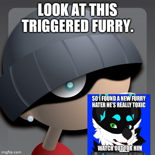 Another Furry On Imgflip | image tagged in anti furry | made w/ Imgflip meme maker