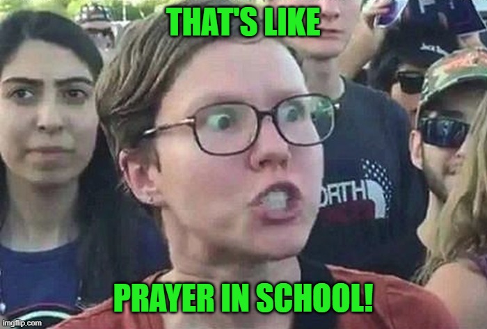 Triggered Liberal | THAT'S LIKE PRAYER IN SCHOOL! | image tagged in triggered liberal | made w/ Imgflip meme maker
