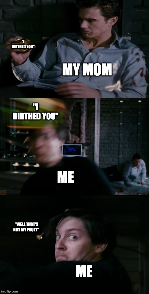 pumpkin bomb dodge | "I BIRTHED YOU"; MY MOM; "I BIRTHED YOU"; ME; "WELL THAT'S NOT MY FAULT"; ME | image tagged in pumpkin bomb dodge | made w/ Imgflip meme maker