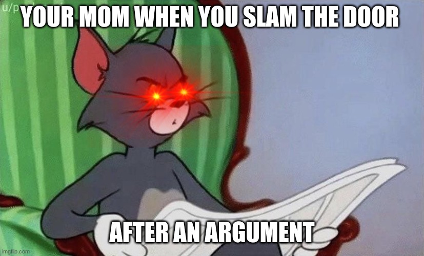 YOUR MOM WHEN YOU SLAM THE DOOR; AFTER AN ARGUMENT | image tagged in tom cat reading a newspaper | made w/ Imgflip meme maker