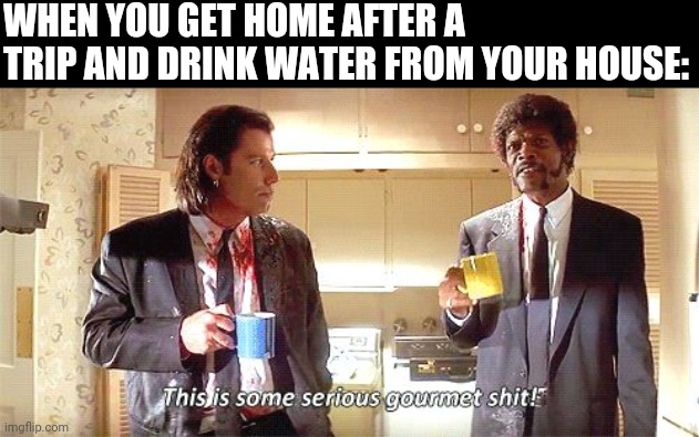 This is some serious gourmet shit | WHEN YOU GET HOME AFTER A TRIP AND DRINK WATER FROM YOUR HOUSE: | image tagged in this is some serious gourmet shit | made w/ Imgflip meme maker