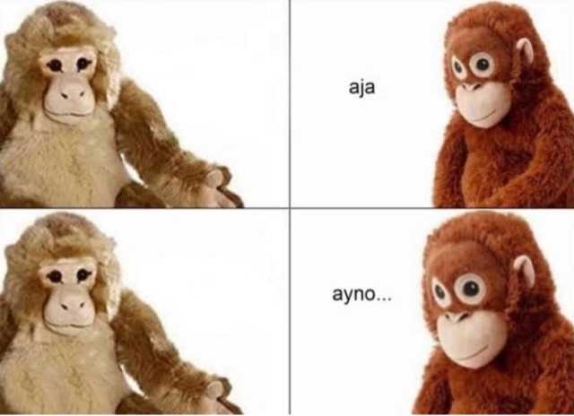 High Quality Ajá-Ayno Blank Meme Template