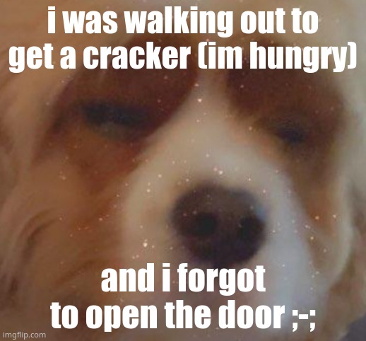ever just be havin a bad day ;-; | i was walking out to get a cracker (im hungry); and i forgot to open the door ;-; | image tagged in narwhal doge | made w/ Imgflip meme maker