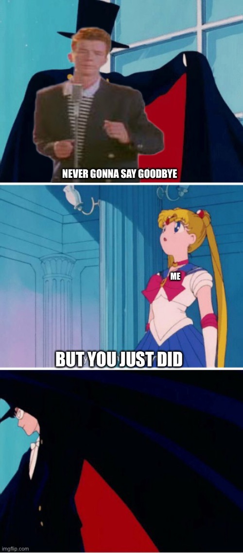 Sailor moon | NEVER GONNA SAY GOODBYE; ME; BUT YOU JUST DID | image tagged in sailor moon | made w/ Imgflip meme maker