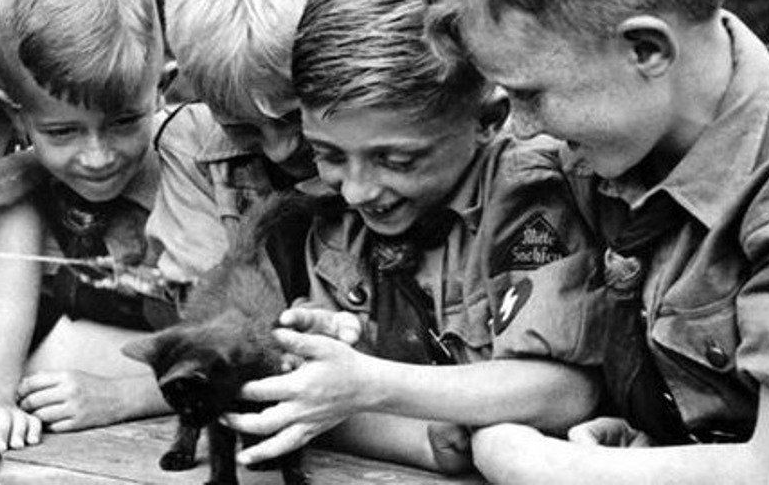 Kittens and Nazi Youth Blank Meme Template