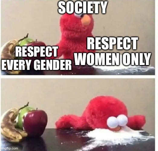 Elmo Cocaine |  SOCIETY; RESPECT WOMEN ONLY; RESPECT EVERY GENDER | image tagged in elmo cocaine | made w/ Imgflip meme maker