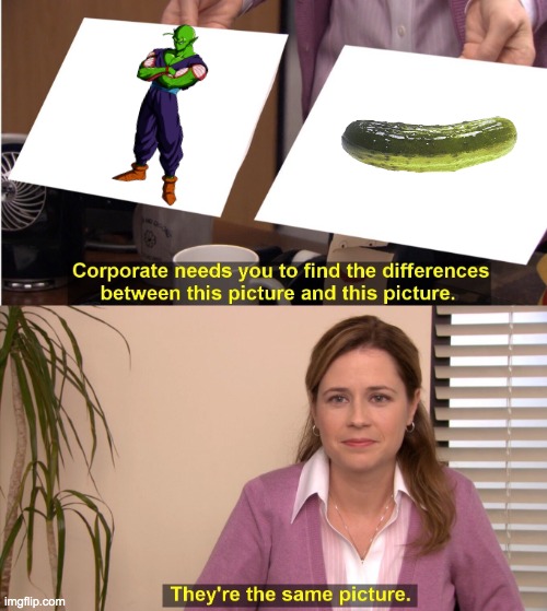 Piccolo is a pickle? | image tagged in memes,they're the same picture | made w/ Imgflip meme maker
