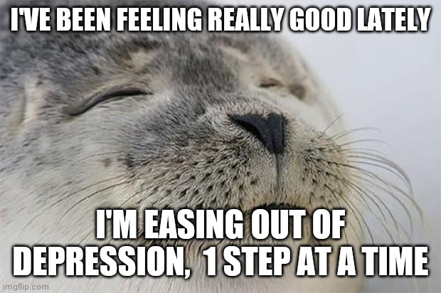 No cap | I'VE BEEN FEELING REALLY GOOD LATELY; I'M EASING OUT OF DEPRESSION,  1 STEP AT A TIME | image tagged in memes,satisfied seal | made w/ Imgflip meme maker