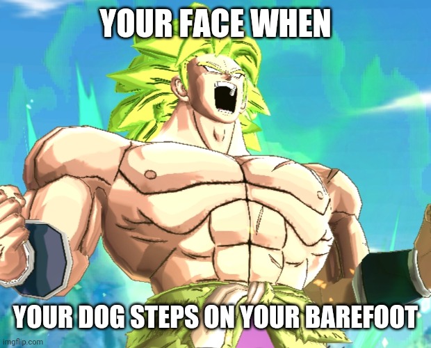 Your face when | YOUR FACE WHEN; YOUR DOG STEPS ON YOUR BAREFOOT | image tagged in broly win face,funny,dragon ball super,broly,comedy | made w/ Imgflip meme maker