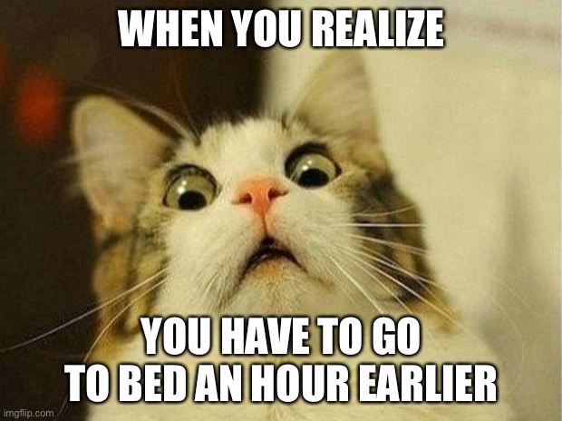 This sucks. | WHEN YOU REALIZE; YOU HAVE TO GO TO BED AN HOUR EARLIER | image tagged in memes,scared cat,daylight savings time,funny,bedtime,oof size large | made w/ Imgflip meme maker