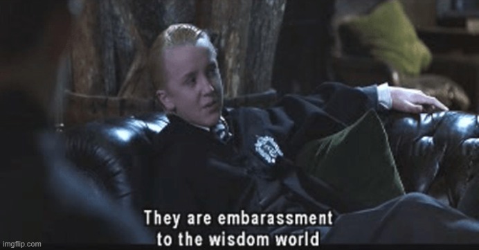 They are embarassment to the wisdom world | image tagged in they are embarassment to the wisdom world | made w/ Imgflip meme maker