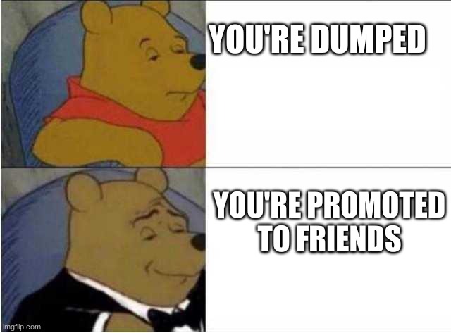 memes |  YOU'RE DUMPED; YOU'RE PROMOTED TO FRIENDS | image tagged in pooh regular vs posh | made w/ Imgflip meme maker