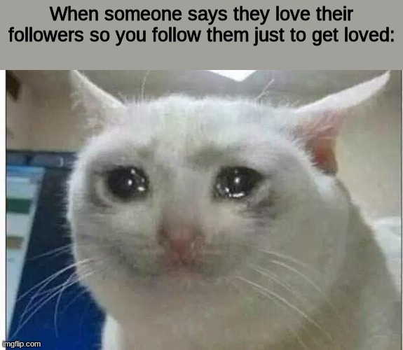 Oof... | When someone says they love their followers so you follow them just to get loved: | image tagged in crying cat | made w/ Imgflip meme maker