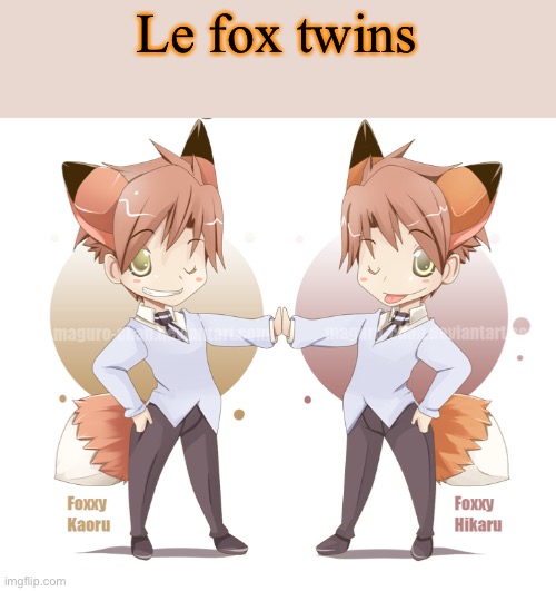 Le fox twins | made w/ Imgflip meme maker