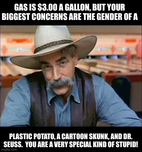 Special kind of stupid | GAS IS $3.00 A GALLON, BUT YOUR BIGGEST CONCERNS ARE THE GENDER OF A; PLASTIC POTATO, A CARTOON SKUNK, AND DR. SEUSS.  YOU ARE A VERY SPECIAL KIND OF STUPID! | image tagged in sam elliott special kind of stupid | made w/ Imgflip meme maker