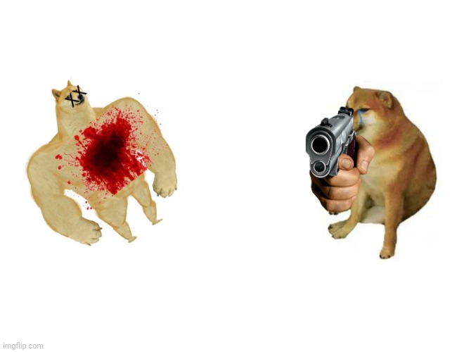 Buff Doge vs. Cheems Meme - Imgflip