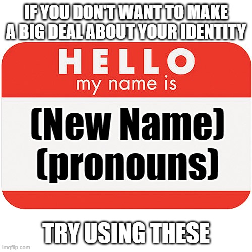I hope this helps someone | IF YOU DON'T WANT TO MAKE A BIG DEAL ABOUT YOUR IDENTITY; (New Name)
(pronouns); TRY USING THESE | image tagged in name tag,gender identity,coming out,advice | made w/ Imgflip meme maker