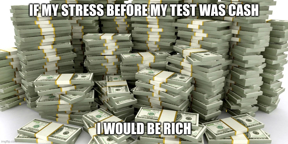 S T R E S S | IF MY STRESS BEFORE MY TEST WAS CASH; I WOULD BE RICH | image tagged in stacks of money | made w/ Imgflip meme maker