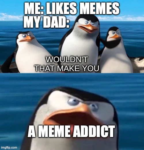 Wouldn't that make you blank | ME: LIKES MEMES; MY DAD:; A MEME ADDICT | image tagged in wouldn't that make you blank | made w/ Imgflip meme maker