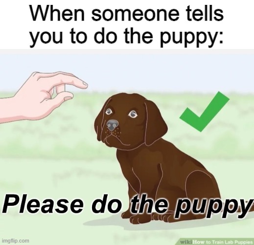Please do the puppy | When someone tells you to do the puppy: | image tagged in please do the puppy | made w/ Imgflip meme maker