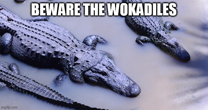 WOKE | BEWARE THE WOKADILES | image tagged in woke | made w/ Imgflip meme maker