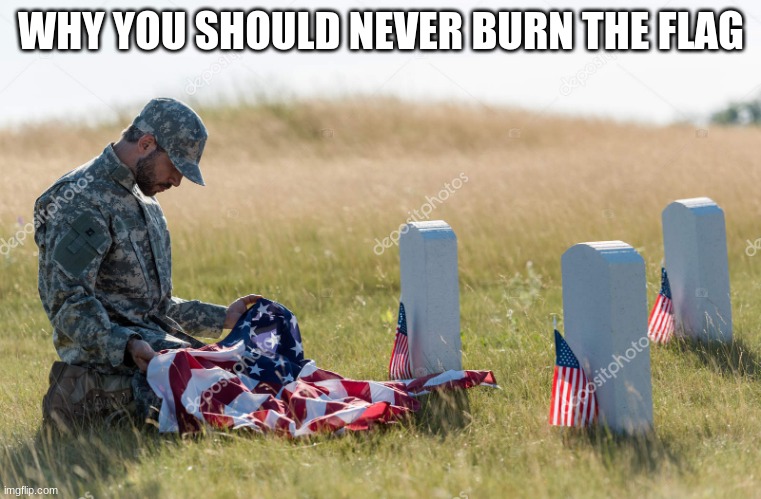 It brings me to tears |  WHY YOU SHOULD NEVER BURN THE FLAG | image tagged in the flag,american flag,american pride,usa,respect the flag | made w/ Imgflip meme maker