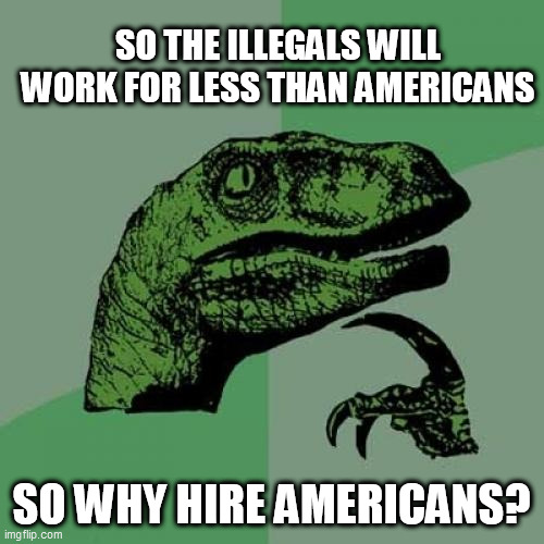 Philosoraptor Meme | SO THE ILLEGALS WILL WORK FOR LESS THAN AMERICANS; SO WHY HIRE AMERICANS? | image tagged in memes,philosoraptor | made w/ Imgflip meme maker