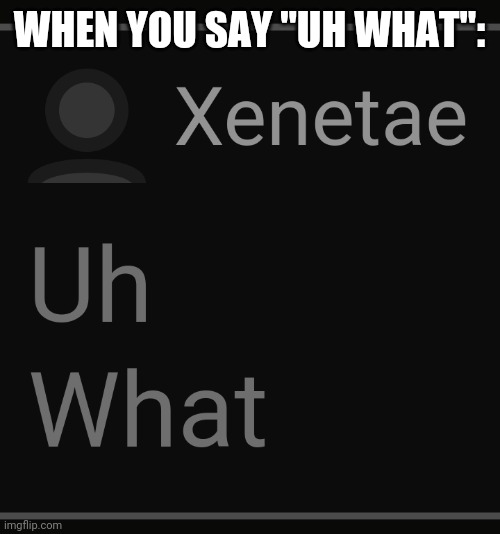 Anti memes lmao- | WHEN YOU SAY "UH WHAT": | image tagged in xenetae says uh what | made w/ Imgflip meme maker
