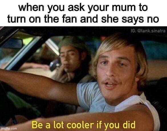 Image Title | when you ask your mum to turn on the fan and she says no | made w/ Imgflip meme maker