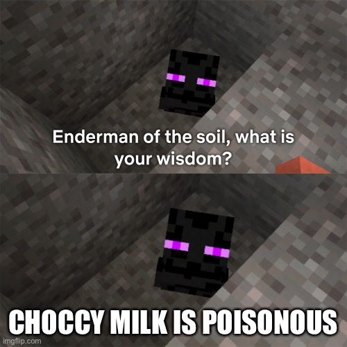 Don’t drink choccy milk! | CHOCCY MILK IS POISONOUS | image tagged in enderman of the soil,choccy milk,poison,memes | made w/ Imgflip meme maker