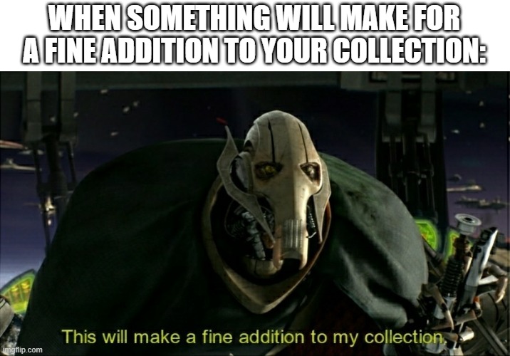 This will make a fine addition to my collection | WHEN SOMETHING WILL MAKE FOR A FINE ADDITION TO YOUR COLLECTION: | image tagged in this will make a fine addition to my collection | made w/ Imgflip meme maker