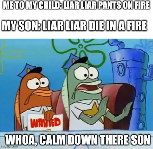 Damn | ME TO MY CHILD: LIAR LIAR PANTS ON FIRE; MY SON: LIAR LIAR DIE IN A FIRE; WHOA, CALM DOWN THERE SON | image tagged in calm down son,fire | made w/ Imgflip meme maker