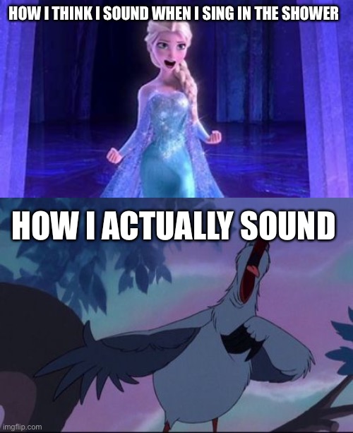 Shower songs | HOW I THINK I SOUND WHEN I SING IN THE SHOWER; HOW I ACTUALLY SOUND | image tagged in elsa,scuttle,singing meme | made w/ Imgflip meme maker
