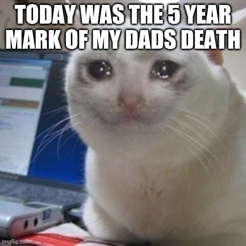 Crying cat | TODAY WAS THE 5 YEAR MARK OF MY DADS DEATH | image tagged in crying cat | made w/ Imgflip meme maker
