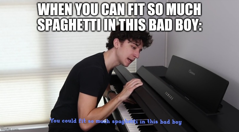 You could fit so much spaghetti in this bad boy | WHEN YOU CAN FIT SO MUCH SPAGHETTI IN THIS BAD BOY: | image tagged in you could fit so much spaghetti in this bad boy | made w/ Imgflip meme maker