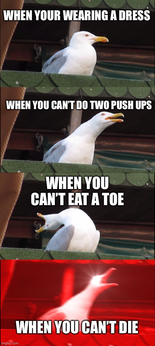 Inhaling Seagull Meme | WHEN YOUR WEARING A DRESS; WHEN YOU CAN’T DO TWO PUSH UPS; WHEN YOU CAN’T EAT A TOE; WHEN YOU CAN’T DIE | image tagged in memes,inhaling seagull | made w/ Imgflip meme maker