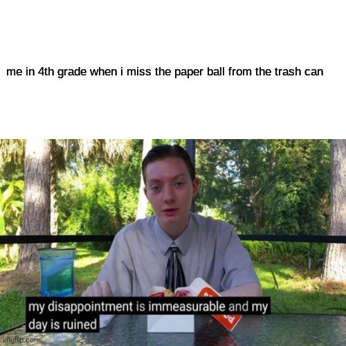 the paper ball from the trash | me in 4th grade when i miss the paper ball from the trash can | image tagged in disappointment | made w/ Imgflip meme maker