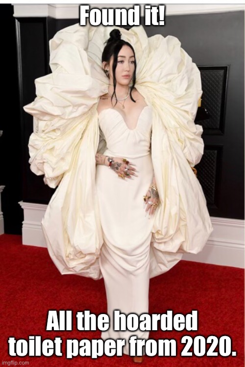 And now you know | Found it! All the hoarded toilet paper from 2020. | image tagged in toilet paper,hoard,grammy awards,noah cyrus,dress | made w/ Imgflip meme maker