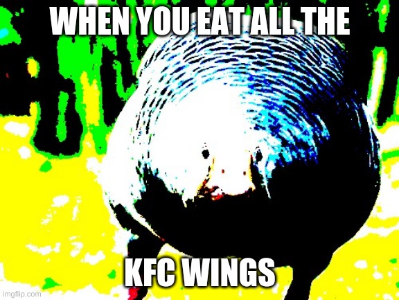 KFC wings | WHEN YOU EAT ALL THE; KFC WINGS | image tagged in memes | made w/ Imgflip meme maker