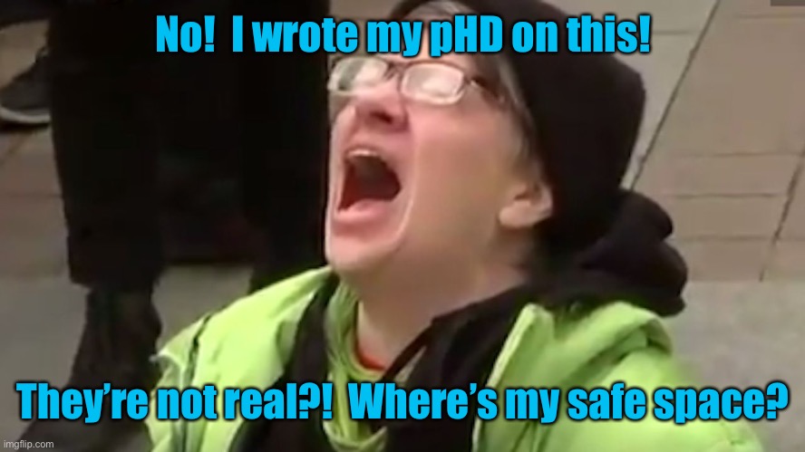 Screaming Liberal  | No!  I wrote my pHD on this! They’re not real?!  Where’s my safe space? | image tagged in screaming liberal | made w/ Imgflip meme maker