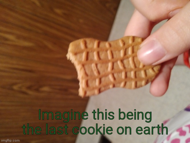Let's just go to another planet to get more | Imagine this being the last cookie on earth | image tagged in the final cookie on earth | made w/ Imgflip meme maker
