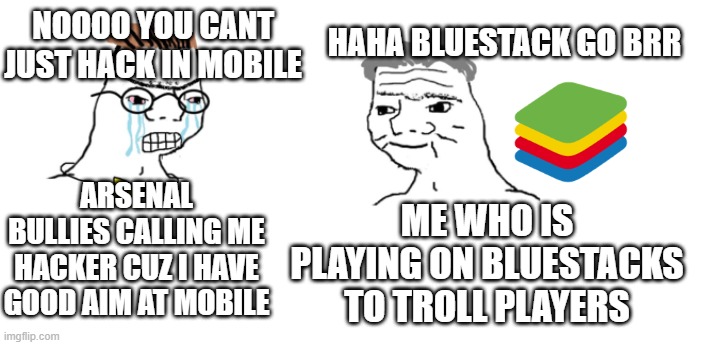 bluestacks abuse | HAHA BLUESTACK GO BRR; NOOOO YOU CANT JUST HACK IN MOBILE; ARSENAL BULLIES CALLING ME HACKER CUZ I HAVE GOOD AIM AT MOBILE; ME WHO IS PLAYING ON BLUESTACKS TO TROLL PLAYERS | image tagged in nooo haha go brrr | made w/ Imgflip meme maker