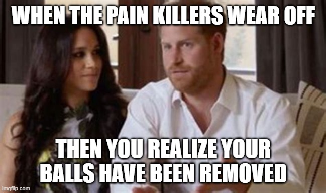 Balls removed | WHEN THE PAIN KILLERS WEAR OFF; THEN YOU REALIZE YOUR BALLS HAVE BEEN REMOVED | image tagged in castrated | made w/ Imgflip meme maker