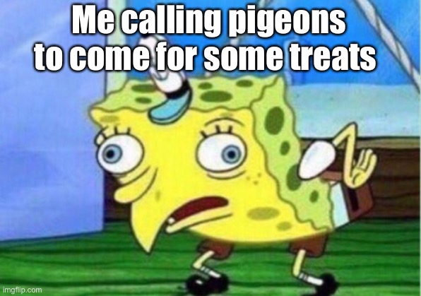 Mocking Spongebob | Me calling pigeons to come for some treats | image tagged in memes,mocking spongebob | made w/ Imgflip meme maker