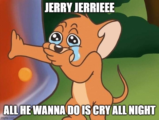 jerry crying | JERRY JERRIEEE; ALL HE WANNA DO IS CRY ALL NIGHT | image tagged in jerry crying | made w/ Imgflip meme maker