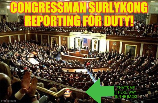 Congress roll call | CONGRESSMAN SURLYKONG REPORTING FOR DUTY! THAT'S ME THERE. WAY IN THE BACK! | image tagged in congress,imgflip,presidents,stream | made w/ Imgflip meme maker